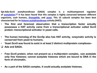 Spt-Ada-Gcn5 acetyltransferase (SAGA) complex is a multicomponent regulator
of acetylation.[1] It has been found that this complex is highly conserved between different
organisms, such humans, Drosophila, and yeast. This 15 subunit complex has been best
characterized for its histone acetyltransferase activity (HAT)
• The first and foremost observation that a transcription factor actually
possesses a HAT activity came from a transcriptional activator called Gcn5
protein- transcriptional activator in yeast cells.
• The human homolog of the Gcn5p also has HAT activity, -enzymatic activity is
conserved from yeast to humans.
• Yeast Gcn5 was found to exist in at least 2 distinct multiprotein complexes–
 Ada and SAGA.
• Free Gcn5 protein, when not present as a multiprotein complex, -can acetylate
only free histones; cannot acetylate histones which are bound to DNA in the
form of chromatin,
• As a part of the SAGA complex, it could actually acetylate histones.
 