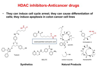 HDAC inhibitors-Anticancer drugs
• They can induce cell cycle arrest; they can cause differentiation of
cells; they induce apoptosis in colon cancer cell lines
Synthetics Natural Products
 