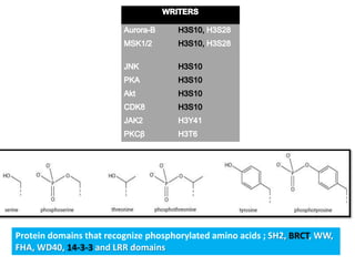 Protein domains that recognize phosphorylated amino acids ; SH2, BRCT, WW,
FHA, WD40, 14-3-3 and LRR domains
 