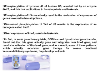 Phosphorylation of tyrosine 41 of histone H3, -carried out by an enzyme
JAK2, and this has implications in hematopoiesis and leukemia.
Phosphorylation of H3 can actually result in the modulation of expression of
genes involved in hematopoiesis,
Decreased phosphorylation of Y41 of H3 results in the expression of an
oncogene called lmo2.
Over expression of lmo2, results in leukemia.
In fact, in some gene therapy trials, SCID is cured by retroviral gene transfer,
found out that this gene actually goes and integrates near lmo2 gene, and
results in activation of this lmo2 gene, and as a result, some of these patients,
which actually underwent gene therapy for severe combined
immunodeficiency syndrome, they develop leukemia
 