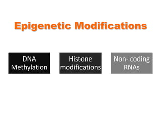 DNA
Methylation
Histone
modifications
Non- coding
RNAs
 