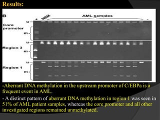 Results:
-Aberrant DNA methylation in the upstream promoter of C/EBPa is a
frequent event in AML.
- A distinct pattern of aberrant DNA methylation in region 1 was seen in
51% of AML patient samples, whereas the core promoter and all other
investigated regions remained unmethylated.
 