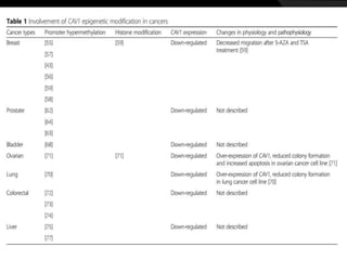 • Because of hypermethylation of CAV 1 promoter , there is
down-regulation of CAV1 expression when compared to
adjacent normal breast tissues.
• In prostate cancer, CAV1 is down-regulated and this is
accompanied by promoter hypermethylation of CpGi sites
at the 5′ promoter region of CAV1.
• Treatment with 5-AZA has been shown to restore CAV1
expression in some cancers confirming hypermethylation.
 