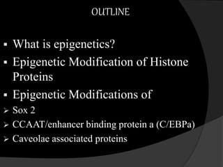 OUTLINE
 What is epigenetics?
 Epigenetic Modification of Histone
Proteins
 Epigenetic Modifications of
 Sox 2
 CCAAT/enhancer binding protein a (C/EBPa)
 Caveolae associated proteins
 