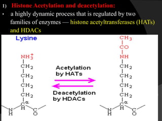1) Histone Acetylation and deacetylation:
• a highly dynamic process that is regulated by two
families of enzymes — histone acetyltransferases (HATs)
and HDACs
• HATs use acetyl-CoA as a cofactor and catalyze the
transfer of an acetyl group to the ε-amino group of lysine
side chains on the histone protein. This neutralizes the
positive charge on lysine, thus reducing the affinity of the
histone tail that protrudes from the nucleosome core of
DNA. As a result, chromatin adopts a more relaxed
structure, enabling the recruitment of the transcriptional
machinery.
• HDACs reverse the acetylation of lysine residues to restore
their positive charge and stabilize the local chromatin
architecture.
 