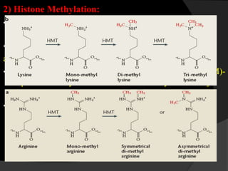 2) Histone Methylation:
• Lysine residues on histones can be monomethylated,
dimethylated or trimethylated.
• Arginine residues are also subject to monomethylation
and dimethylation.
• Methyl marks are written by S-adenosylmethionine (SAM)-
dependent methyltransferases and erased by the Jumonji
family of 2-oxoglutarate-dependent demethylases.
• Histone lysine methylation can be associated with either
transcriptional activation (H3K4me3) or repression
(H3K9me3 and H3K27me3 )
 