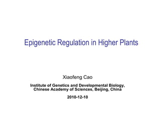 Epigenetic Regulation in Higher Plants
Xiaofeng Cao
Institute of Genetics and Developmental Biology,
Chinese Academy of Sciences, Beijing, China
2010-12-10
 