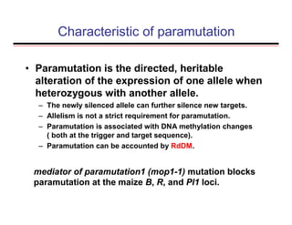 Characteristic of paramutation
• Paramutation is the directed, heritable
alteration of the expression of one allele when
heterozygous with another allele.
– The newly silenced allele can further silence new targets.
– Allelism is not a strict requirement for paramutation.
– Paramutation is associated with DNA methylation changes
( both at the trigger and target sequence).
– Paramutation can be accounted by RdDM.
mediator of paramutation1 (mop1-1) mutation blocks
paramutation at the maize B, R, and Pl1 loci.
 