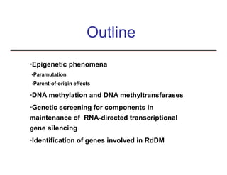 •Epigenetic phenomena
-Paramutation
-Parent-of-origin effects
•DNA methylation and DNA methyltransferases
•Genetic screening for components in
maintenance of RNA-directed transcriptional
gene silencing
•Identification of genes involved in RdDM
Outline
 