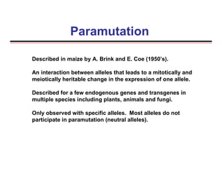 Paramutation
Described in maize by A. Brink and E. Coe (1950’s).
An interaction between alleles that leads to a mitotically and
meiotically heritable change in the expression of one allele.
Described for a few endogenous genes and transgenes in
multiple species including plants, animals and fungi.
Only observed with specific alleles. Most alleles do not
participate in paramutation (neutral alleles).
 