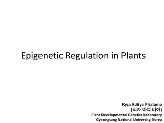 Epigenetic Regulation in Plants Ryza Aditya Priatama (리자 아디티아) Plant Developmental Genetics Laboratory Gyeongsang National University, Korea 