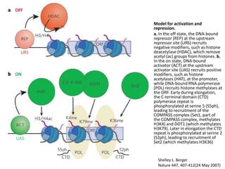 Other Chromatin ProteinsOther Polycomb ProteinsComponent of ImprintingChromatin-remodelling ProteinsChromatin Assembling FactorHeterochromatin-like Proteins