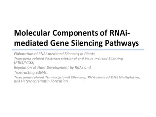 Model for activation and repression.a, In the off state, the DNA-bound repressor (REP) at the upstream repressor site (URS) recruits negative modifiers, such as histone deacetylase (HDAC), which remove acetyl (ac) groups from histones. b, In the on state, DNA-bound activator (ACT) at the upstream activator site (UAS) recruits positive modifiers, such as histone acetylases (HAT), at the promoter, while DNA-bound RNA polymerase (POL) recruits histone methylases at the ORF. Early during elongation, the C-terminal domain (CTD) polymerase repeat is phosphorylated at serine 5 (S5ph), leading to recruitment of the COMPASS complex (Set1, part of the COMPASS complex, methylates H3K4) and DOT1 (which methylates H3K79). Later in elongation the CTD repeat is phosphorylated at serine 2 (S2ph), leading to recruitment of Set2 (which methylates H3K36)Shelley L. BergerNature 447, 407-412(24 May 2007)