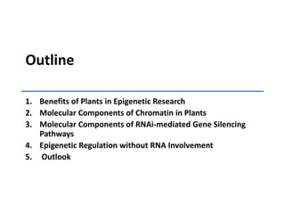 OutlineBenefits of Plants in Epigenetic ResearchMolecular Components of Chromatin in PlantsMolecular Components of RNAi-mediated Gene Silencing PathwaysEpigenetic Regulation without RNA Involvement Outlook