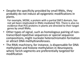 Epigenetic Regulation without RNA Involvement