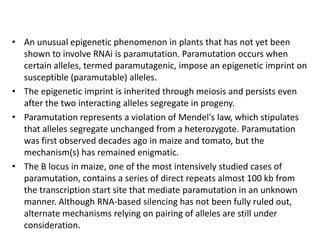 Despite the specificity provided by small RNAs, they probably do not induce all epigenetic modifications in plants. For example, MOM, a protein with a partial SNF2 domain, has not yet been implicated in RNAi-mediated TGS. There is also no evidence that PcG proteins in plants are directed to their target genes by small RNAs. Other types of signal, such as homologous pairing of non-transcribed repetitive sequences or special sequence compositions, might nucleate heterochromatin formation or attract DNA methyltransferases. The RNAi machinery, for instance, is dispensable for DNA methylation and histone methylation in Neurospora, where Tarich segments are preferentially targeted for modification