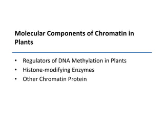 Molecular Components of Chromatin in PlantsRegulators of DNA Methylation in Plants