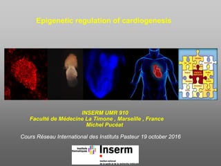 INSERM UMR 910
Faculté de Médecine La Timone , Marseille , France
Michel Pucéat
Cours Réseau International des Instituts Pasteur 19 october 2016
Epigenetic regulation of cardiogenesis
 