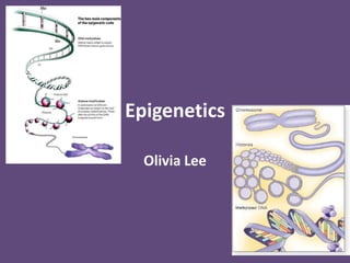 Epigenetics

  Olivia Lee
 