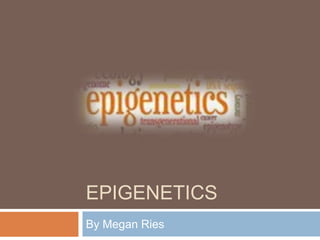 EPIGENETICS
By Megan Ries
 