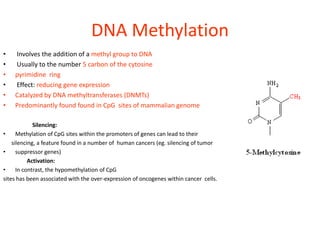 DNA Methylation
•   Involves the addition of a methyl group to DNA
•   Usually to the number 5 carbon of the cytosine
•   pyrimidine ring
•   Effect: reducing gene expression
•   Catalyzed by DNA methyltransferases (DNMTs)
•   Predominantly found found in CpG sites of mammalian genome

             Silencing:
•     Methylation of CpG sites within the promoters of genes can lead to their
    silencing, a feature found in a number of human cancers (eg. silencing of tumor
•     suppressor genes)
           Activation:
•     In contrast, the hypomethylation of CpG
sites has been associated with the over-expression of oncogenes within cancer cells.
 
