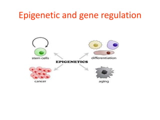 Epigenetic and gene regulation
 