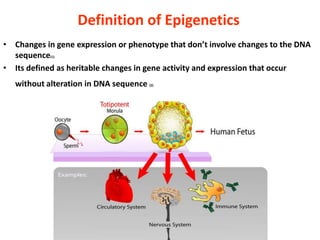 Definition of Epigenetics
• Changes in gene expression or phenotype that don’t involve changes to the DNA
  sequence(1)
• Its defined as heritable changes in gene activity and expression that occur
   without alteration in DNA sequence (2)
 