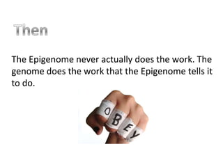 The Epigenome never actually does the work. The
genome does the work that the Epigenome tells it
to do.
 
