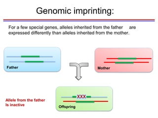 Epigenetics | PPTX