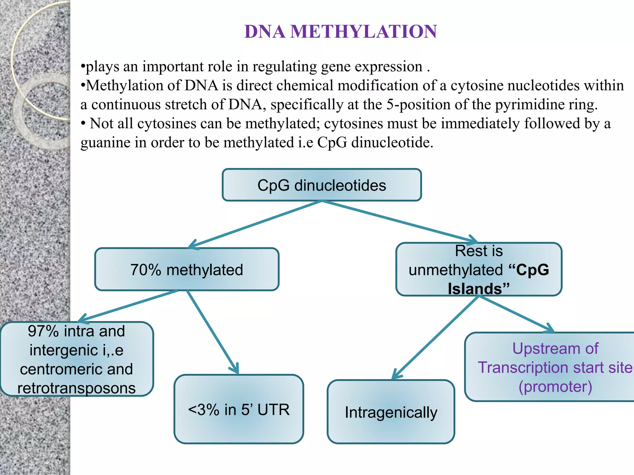DNA METHYLATION
•plays an important role in regulating gene expression .
•Methylation of DNA is direct chemical modification of a cytosine nucleotides within
a continuous stretch of DNA, specifically at the 5-position of the pyrimidine ring.
• Not all cytosines can be methylated; cytosines must be immediately followed by a
guanine in order to be methylated i.e CpG dinucleotide.
CpG dinucleotides
Intragenically
Rest is
unmethylated “CpG
Islands”
70% methylated
Upstream of
Transcription start site
(promoter)
97% intra and
intergenic i,.e
centromeric and
retrotransposons
<3% in 5’ UTR
 