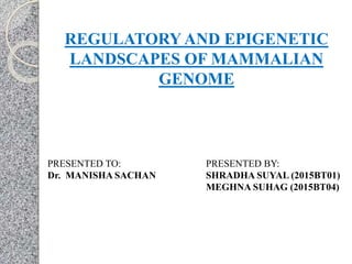 REGULATORY AND EPIGENETIC
LANDSCAPES OF MAMMALIAN
GENOME
PRESENTED TO:
Dr. MANISHA SACHAN
PRESENTED BY:
SHRADHA SUYAL (2015BT01)
MEGHNA SUHAG (2015BT04)
 