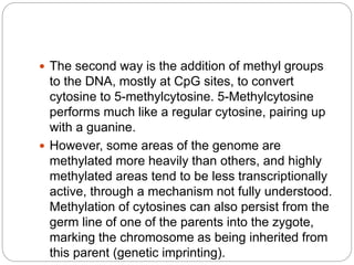 The second way is the addition of methyl groups
to the DNA, mostly at CpG sites, to convert
cytosine to 5-methylcytosine. 5-Methylcytosine
performs much like a regular cytosine, pairing up
with a guanine.
 However, some areas of the genome are
methylated more heavily than others, and highly
methylated areas tend to be less transcriptionally
active, through a mechanism not fully understood.
Methylation of cytosines can also persist from the
germ line of one of the parents into the zygote,
marking the chromosome as being inherited from
this parent (genetic imprinting).
 