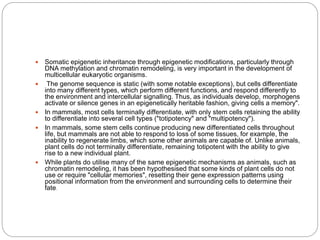  Somatic epigenetic inheritance through epigenetic modifications, particularly through
DNA methylation and chromatin remodeling, is very important in the development of
multicellular eukaryotic organisms.
 The genome sequence is static (with some notable exceptions), but cells differentiate
into many different types, which perform different functions, and respond differently to
the environment and intercellular signalling. Thus, as individuals develop, morphogens
activate or silence genes in an epigenetically heritable fashion, giving cells a memory".
 In mammals, most cells terminally differentiate, with only stem cells retaining the ability
to differentiate into several cell types ("totipotency" and "multipotency").
 In mammals, some stem cells continue producing new differentiated cells throughout
life, but mammals are not able to respond to loss of some tissues, for example, the
inability to regenerate limbs, which some other animals are capable of. Unlike animals,
plant cells do not terminally differentiate, remaining totipotent with the ability to give
rise to a new individual plant.
 While plants do utilise many of the same epigenetic mechanisms as animals, such as
chromatin remodeling, it has been hypothesised that some kinds of plant cells do not
use or require "cellular memories", resetting their gene expression patterns using
positional information from the environment and surrounding cells to determine their
fate.
 