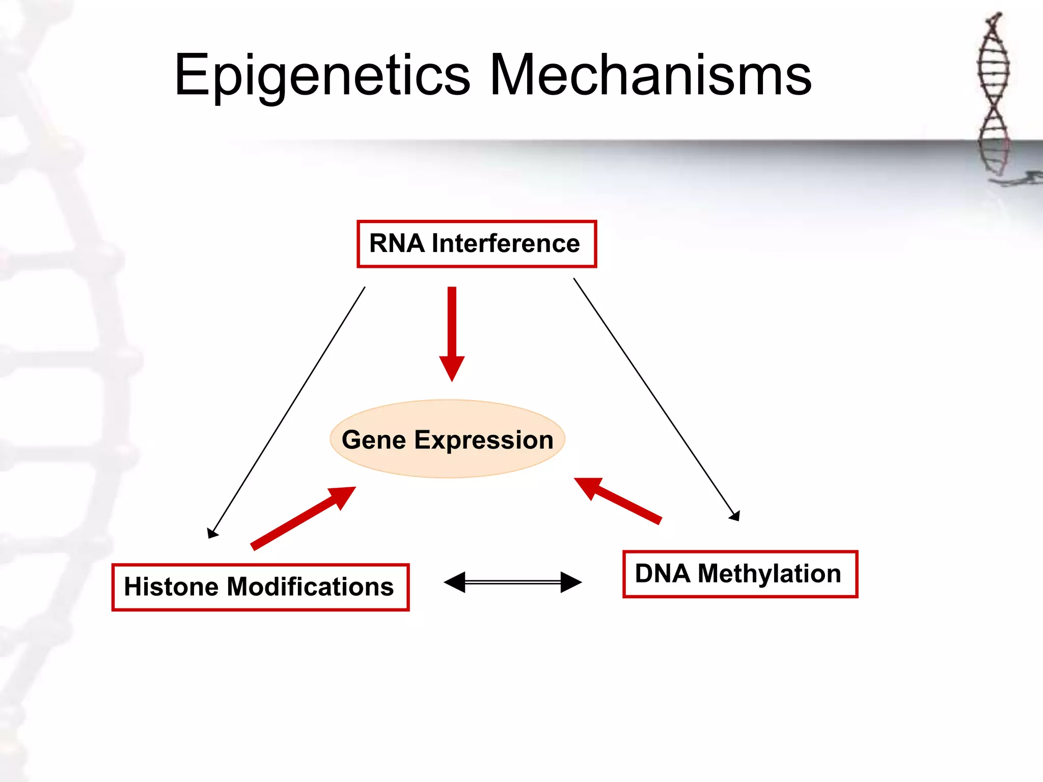 Epigenetics: Introduction and Definition and the mechanism | PPTX