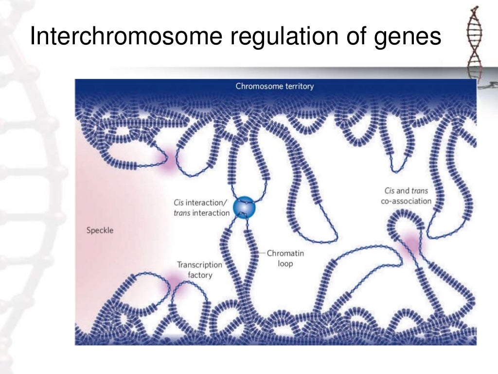 Epigenetics: Introduction and Definition and the mechanism