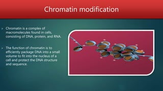 Chromatin modification
 Chromatin is a complex of
macromolecules found in cells,
consisting of DNA, protein, and RNA.
 The function of chromatin is to
efficiently package DNA into a small
volume to fit into the nucleus of a
cell and protect the DNA structure
and sequence.
 