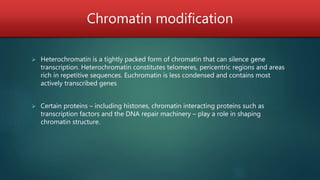 Chromatin modification
 Heterochromatin is a tightly packed form of chromatin that can silence gene
transcription. Heterochromatin constitutes telomeres, pericentric regions and areas
rich in repetitive sequences. Euchromatin is less condensed and contains most
actively transcribed genes
 Certain proteins – including histones, chromatin interacting proteins such as
transcription factors and the DNA repair machinery – play a role in shaping
chromatin structure.
 