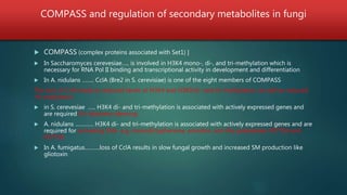 COMPASS and regulation of secondary metabolites in fungi
 COMPASS (complex proteins associated with Set1) ]
 In Saccharomyces cerevesiae….. is involved in H3K4 mono-, di-, and tri-methylation which is
necessary for RNA Pol II binding and transcriptional activity in development and differentiation
 In A. nidulans …….. CclA (Bre2 in S. cerevisiae) is one of the eight members of COMPASS
The lack of CclA leads to reduced levels of H3K4 and H3K9 di- and tri-methylation, as well as reduced
H3 acetylation
 in S. cerevesiae ….. H3K4 di- and tri-methylation is associated with actively expressed genes and
are required for telomere silencing
 A. nidulans ………… H3K4 di- and tri-methylation is associated with actively expressed genes and are
required for activating SMs e.g. monodictyphenone, emodins, and the polyketides F9775A and
F9775B
 In A. fumigatus……….loss of CclA results in slow fungal growth and increased SM production like
gliotoxin
 