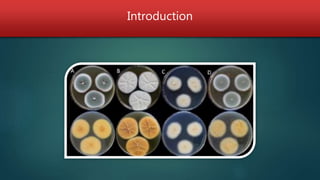 Introduction
 