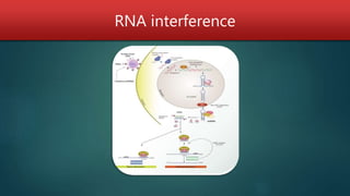RNA interference
 