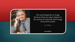 Epigenetics modification in fungi