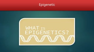 Epigenetic
 