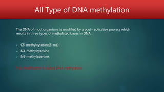 All Type of DNA methylation
The DNA of most organisms is modified by a post-replicative process which
results in three types of methylated bases in DNA :
 C5-methylcytosine(5-mc)
 N4-methylcytosine
 N6-methyladenine.
This Modification is called DNA methylation
 