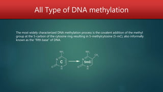 All Type of DNA methylation
The most widely characterized DNA methylation process is the covalent addition of the methyl
group at the 5-carbon of the cytosine ring resulting in 5-methylcytosine (5-mC), also informally
known as the “fifth base” of DNA.
 