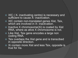 Epigenetics | PPTX
