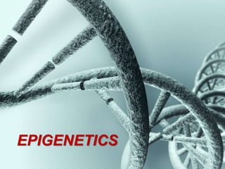 EPIGENETICS
 