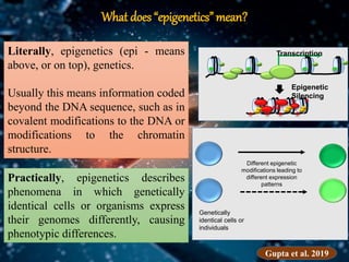 Exploring the role of Epigenetic regulation in plant disease management ...
