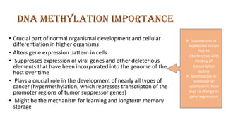 DNA methylation importance
• Crucial part of normal organismal development and cellular
differentiation in higher organisms
• Alters gene expression pattern in cells
• Suppresses expression of viral genes and other deleterious
elements that have been incorporated into the genome of the
host over time
• Plays a crucial role in the development of nearly all types of
cancer (hypermethylation, which represses transcripton of the
promoter regions of tumor suppressor genes)
• Might be the mechanism for learning and longterm memory
storage
➢ Suppression of
expression occurs
Due to
interference with
binding pf
transcription
factors
➢ Methylation in
promoter or
upstream it: lead
lead to change in
gene expression
 