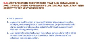 G.R: Most epigenetic modifications that are established in
most tissues during an organism’s lifetime are irrelevant with
respect to the next generation.
• This is because
1. epigenetic modifications are normally erased at each generaton For
example, DNA methylation is typically removed (or possibly oxidized)
during zygote formation and re-established through successive cell
divisions during development.
2. only epigenetic modifications of the mature gametes (and not in other
tissues) have the potential to contribute to the phenotype of the
offspring, the next generation.
 