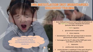 DNA Methylation (not inheritance):
Childhood trauma
• Early childhood trauma can lead to DNA demethylation of
the FKBP5 gene in human individuals that possess
particular alleles at this gene
• FKBP5 regulates:
1. glucocortcoid receptor activity
2. stress response.
• Demethylation of the “AA” genotype leads to excessive
glucocortcoid receptor activation.
• homozygous for the “A” allele of the FKBP5 gene were
more likely to suffer from:
1. depression
2. posttraumatic stress disorder
3. anxiety disorders in adulthood “if they were abused as
children causing demethylation at this locus”.
Methylation at FKBP5 gene in Holocaust
survivors and their offspring
therefore increasing their children’s
risk of developing depression & PTSD
disorders too.
 
